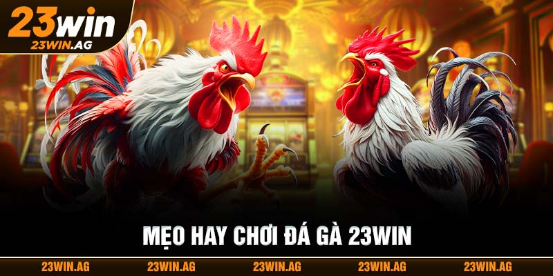 Mẹo chơi đá gà 23WIN hiệu quả