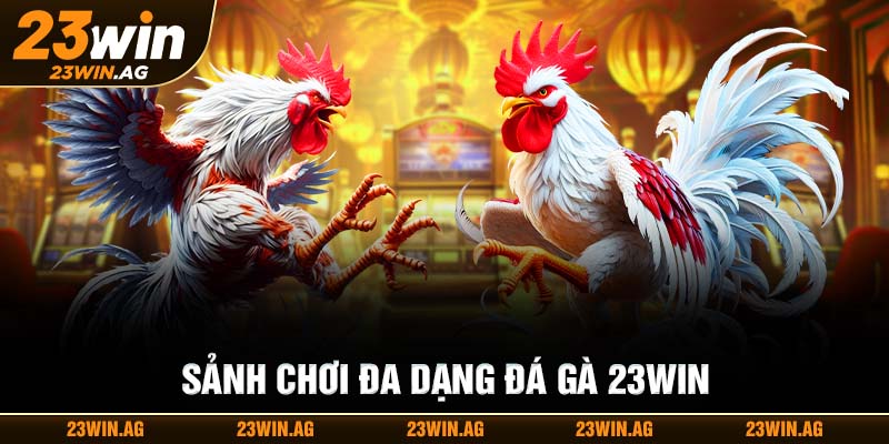  Sảnh chơi đa dạng đá gà 23WIN
