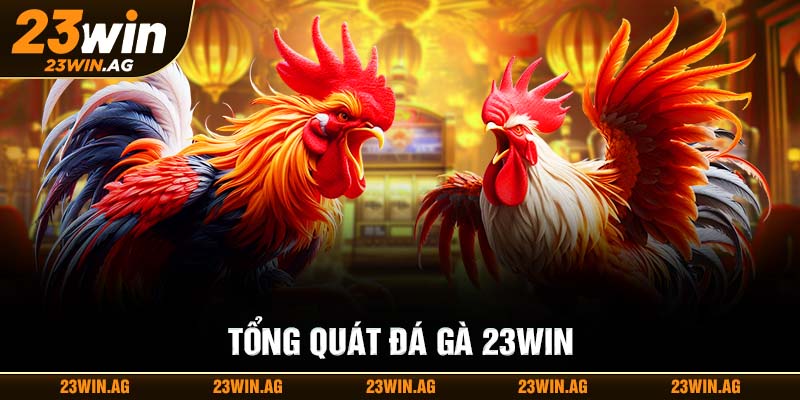 Tổng quan đá gà 23WIN